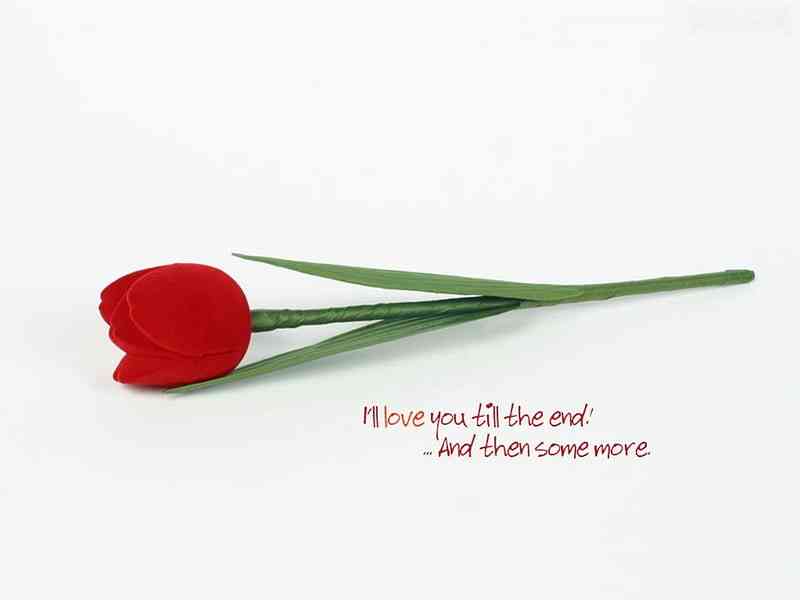 Eternal love quotes