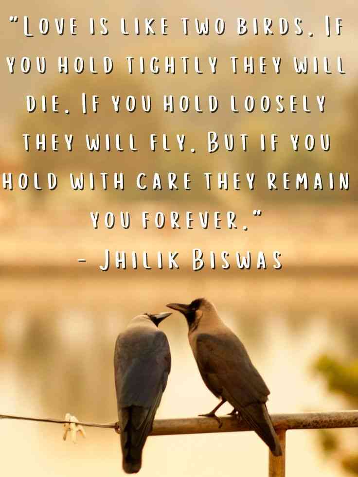 Lovebirds quotes