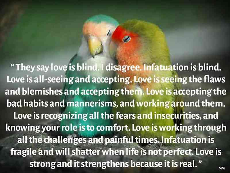 Lovebirds quotes